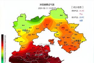 Feigen：申京可以出战今天对阵勇士的比赛